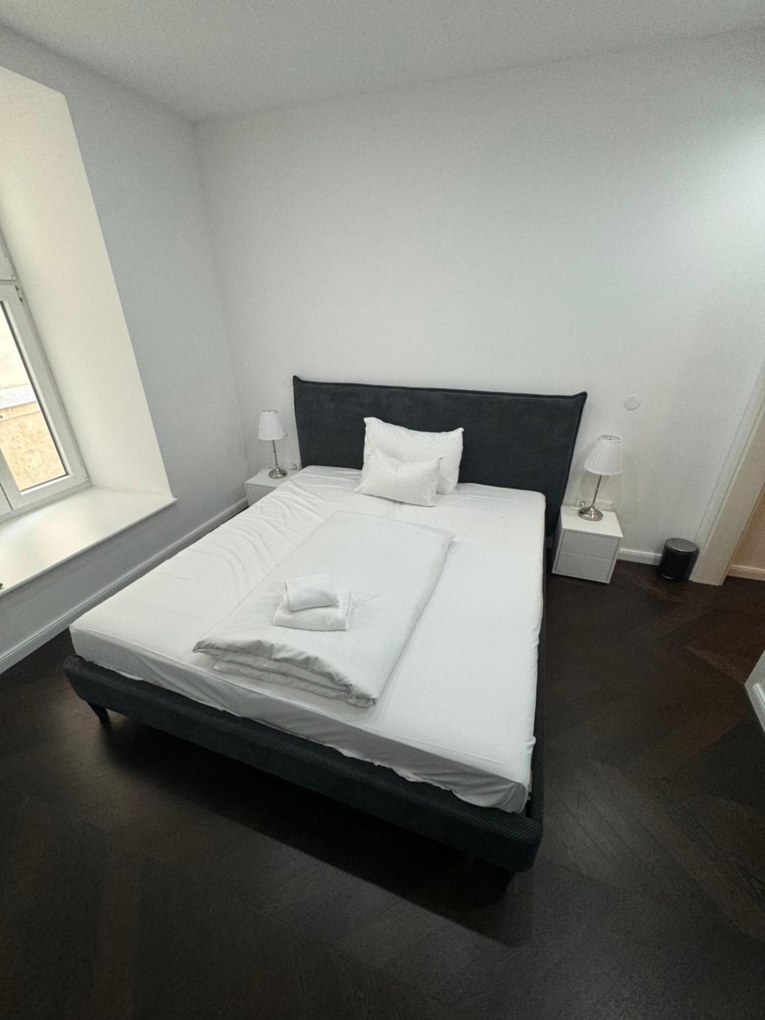Luxurious Apartment In The Centre Of ウィーン エクステリア 写真